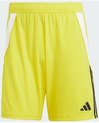 adidas - Tiro 24 Shorts - Lyst