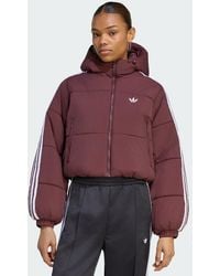 adidas - Adicolor Cropped Hooded Puffer Jacket - Lyst