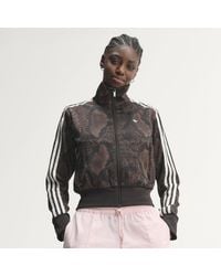 adidas - Satin Snake Print Firebird Track Jacket - Lyst
