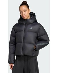 adidas - Z.N.E. Puffer Down Jacket - Lyst