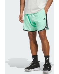 adidas - Crazy Lite Short - Lyst
