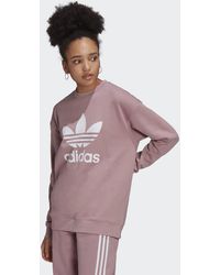 bellista trefoil lace sweatshirt