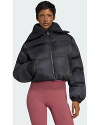 adidas Originals - Knitted Puffer Jacket - Lyst