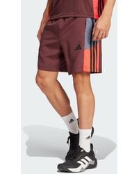 adidas - Train Essentials Seasonal Colorblock Shorts - Lyst
