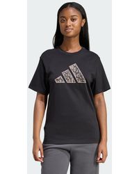 adidas - Animal Graphic T-Shirt - Lyst
