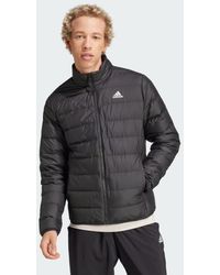 adidas - Essentials Lite Down Jacket - Lyst