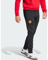 adidas - Pantaloni da allenamento Essentials Trefoil Manchester United FC - Lyst