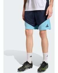 adidas - Argentina 26 Tiro Training Shorts - Lyst