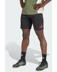 adidas - Fc Bayern 2025/2026 Tiro25 European Pro Training Shorts - Lyst