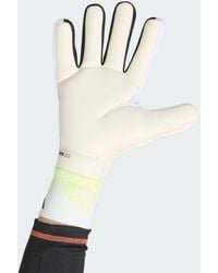 adidas - Predator Pro Goalkeeper Gloves - Lyst