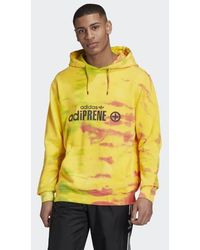 adidas manoles art hoodie