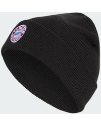 adidas - Fc Bayern Munich Woolie Hat - Lyst