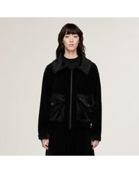 adidas - Y-3 Velvet Corduroy Utility Blouson Jacket - Lyst