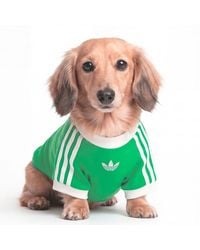 adidas - Pet Cali Tee - Lyst