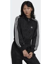 black and gold jacket adidas