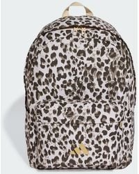 adidas - Leo - Lyst