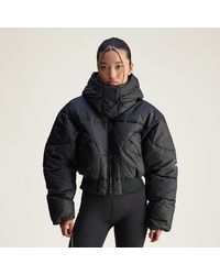 adidas - By Stella Mccartney Cropped Padded Winter Jacket - Lyst