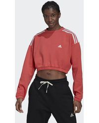 Damen Bekleidung Sport- adidas Baumwolle Hyperglam Crop Sweatshirt in Rot und Fitnesskleidung Trainingsanzüge und Jogginganzüge Training 