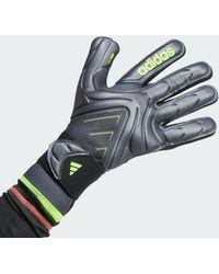 adidas - Guanti Da Portiere Copa Pro - Lyst