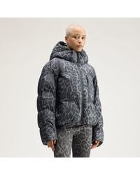 adidas - By Stella Mccartney Short Padded Winter Jacket Printed - Lyst