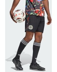 adidas - Fc Bayern 26/27 Wiesn Shorts - Lyst