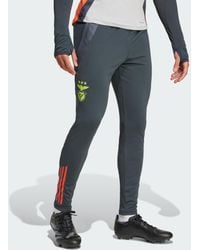 adidas - Benfica Tiro 24 Competition Training Pants - Lyst