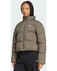 adidas - Short Padded Jacket - Lyst