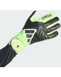 adidas - Guanti Da Portiere Copa League Bambini - Lyst
