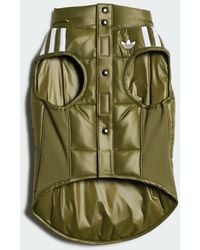 adidas - Pet Padded Vest - Lyst