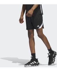 adidas - Icon Squad Shorts - Lyst