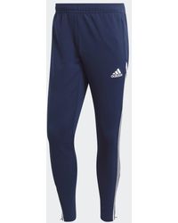 adidas - Condivo 22 Training Pants - Lyst