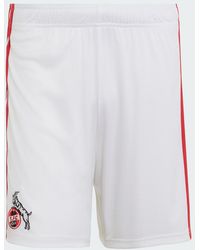 adidas - 1. Fc Koeln 26/27 Home Shorts - Lyst