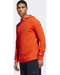 adapt to chaos saturday shorts