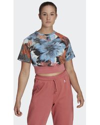 adidas - T-shirt Cropped Allover Print - Lyst