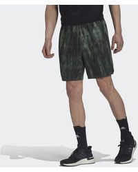 adidas Workout Spray Dye Shorts - Grün