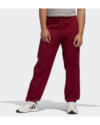 favorites winterized track pants