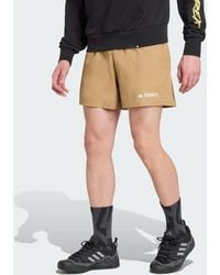 adidas - Terrex Multi Shorts - Lyst