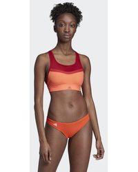 adidas Don't Rest Bikinioberteil - Mehrfarbig