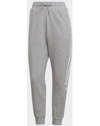 adidas - W Tc Pt - Lyst