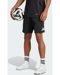 adidas - Ajax Amsterdam Tiro 25 Competition Training Shorts - Lyst