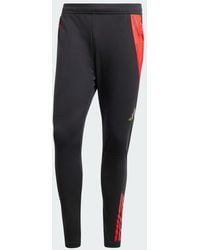 adidas - Belgium Tiro 24 Competition Training Pants - Lyst