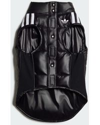 adidas - Pet Padded Vest - Lyst