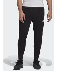 condivo 22 pants