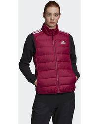 adidas Essentials Donsbodywarmer - Rood