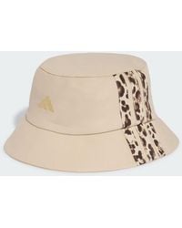 adidas - Leo Graphic Bucket Hat - Lyst
