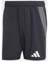 adidas - Tiro 24 Competition Match Shorts - Lyst