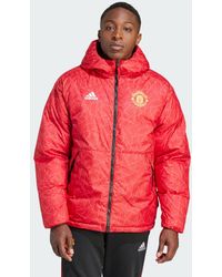 adidas - Manchester United Dna Down Jacket - Lyst