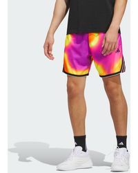 adidas - Crazy Lite Aop Shorts - Lyst
