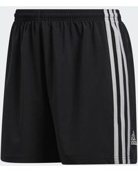 derrick rose shorts