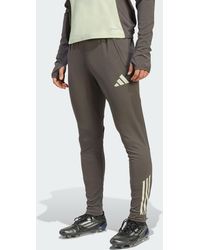 adidas - Real Madrid Tiro 25 Competition Training Pants - Lyst